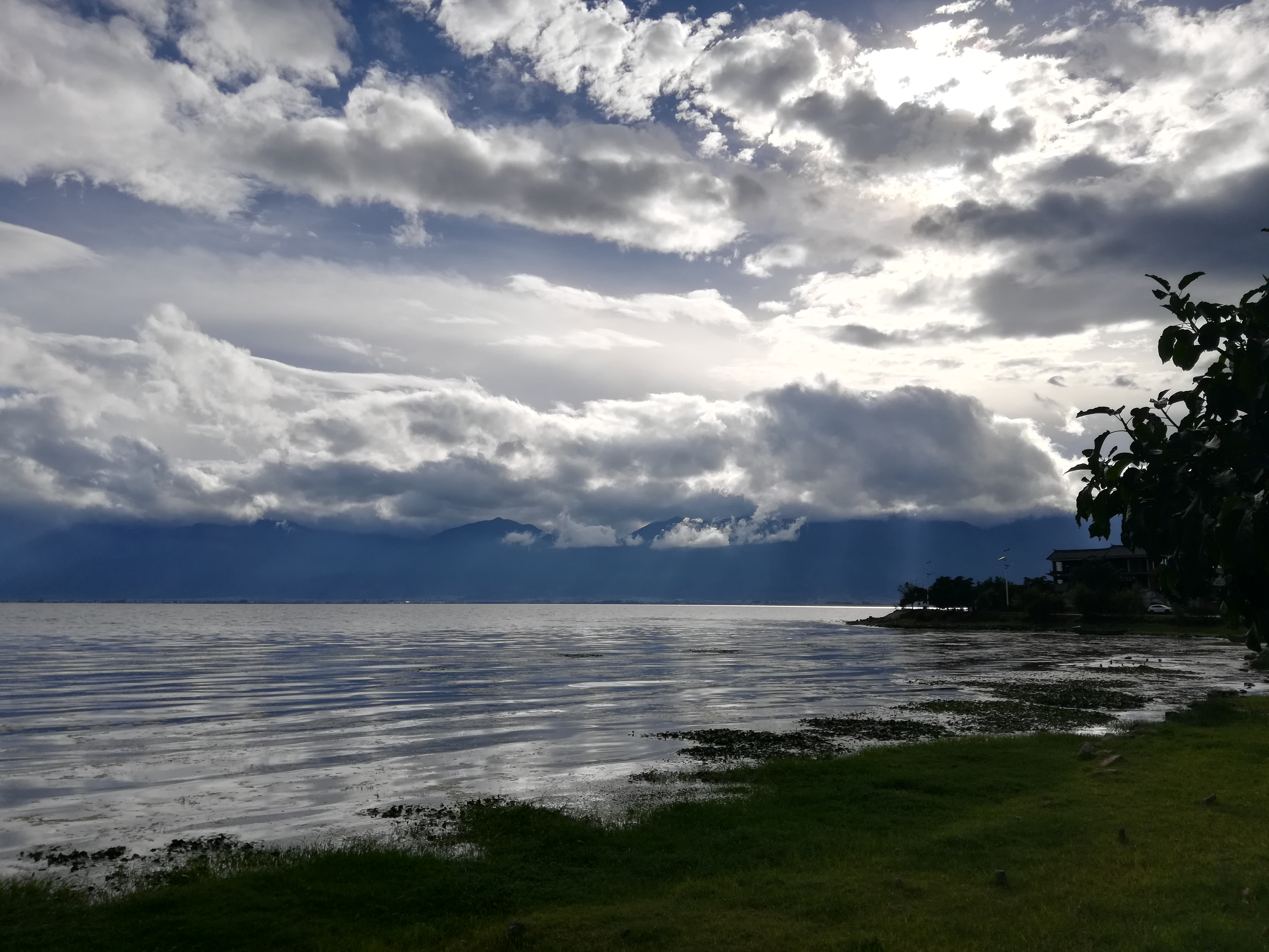 12 IMG_20200721_180254.jpg