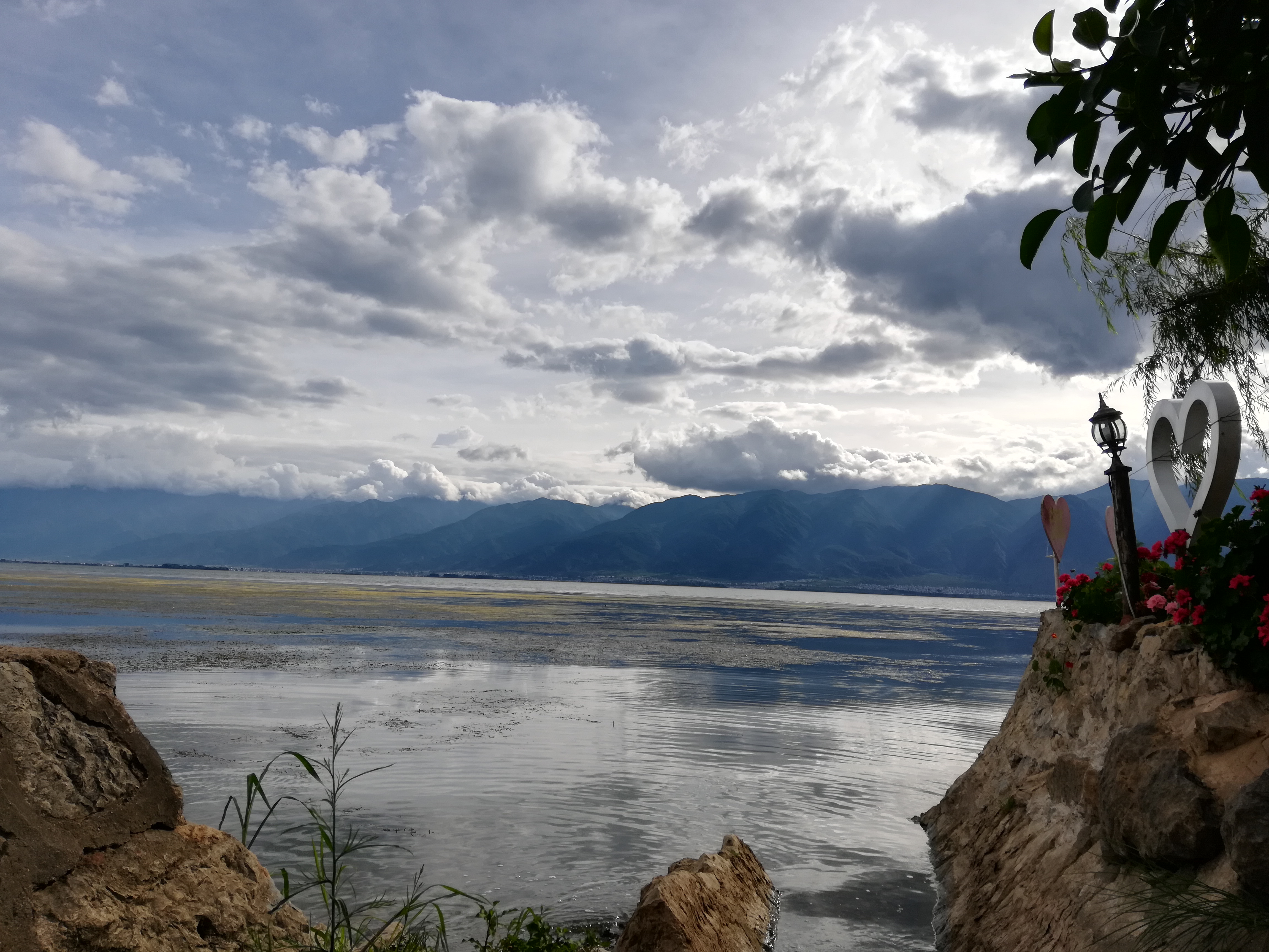 13 IMG_20200725_174908.jpg